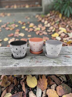 Set of 3 Terracotta Succulent Pots
